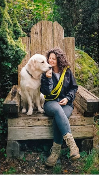 foto hund